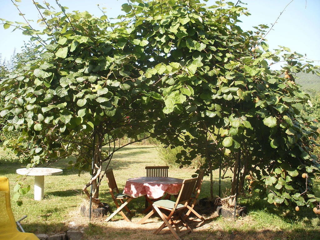 Petite Maison De Village Corneilla-de-Conflent Pokój zdjęcie